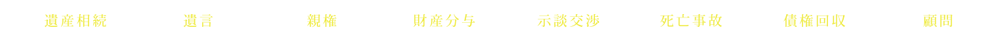 遺産相続 遺言 親権 財産分与 示談交渉 死亡事故 債権回収 顧問